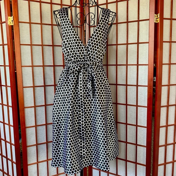 Derek Heart Shimmery Polka Dot A-line Midi - Picture 6 of 8